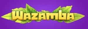 Blaze login